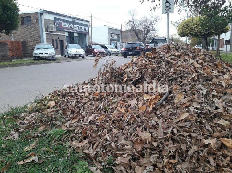 Pedido al Municipio por la acumulación de hojas en la vía pública