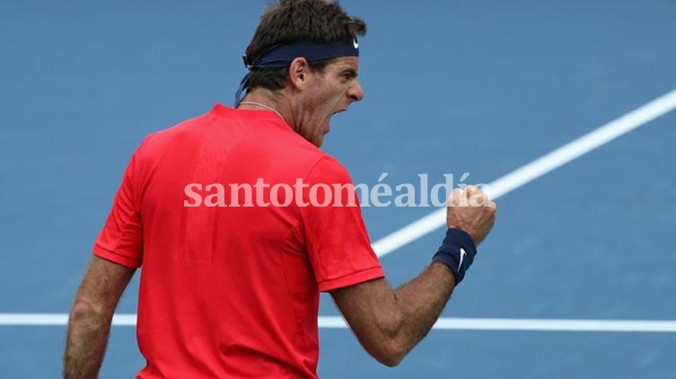 Del Potro dio otro paso en Cincinnati