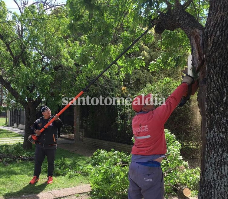 La tormenta no ocasionó problemas de magnitud