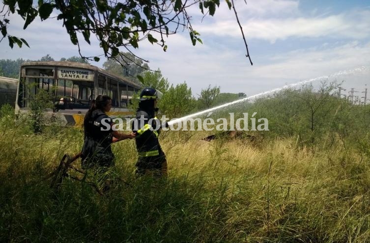 Los bomberos debieron trabajar en el lugar para aplacar el fuego.