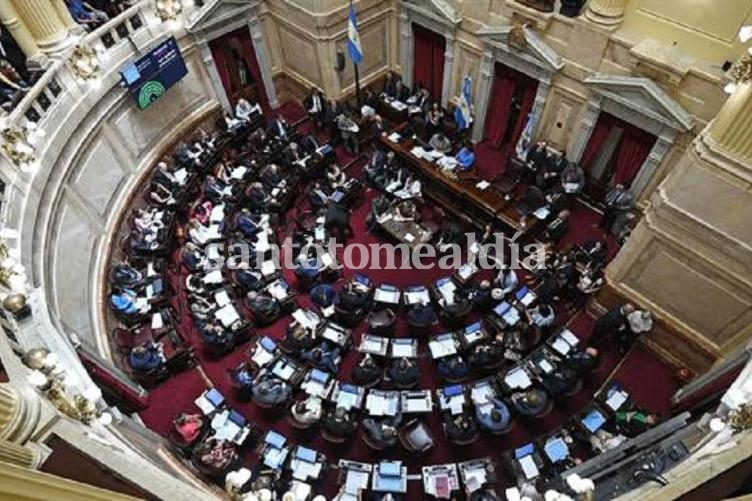 El Senado aprobó el paquete de leyes económicas que impulsaba el Gobierno