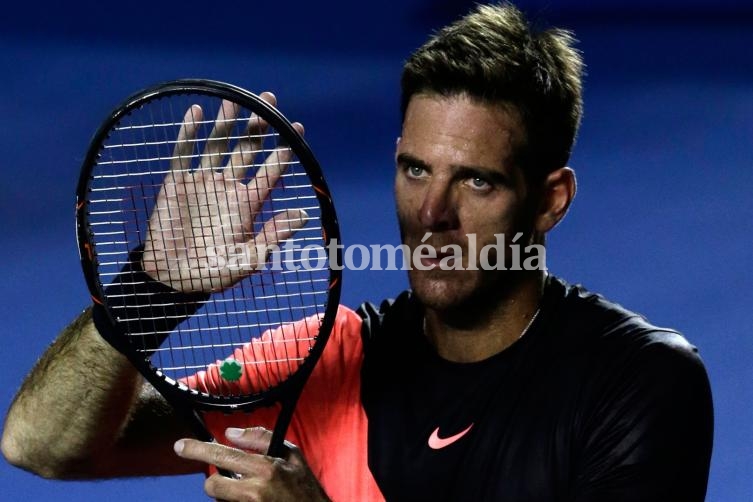 Del Potro finalista en Acapulco