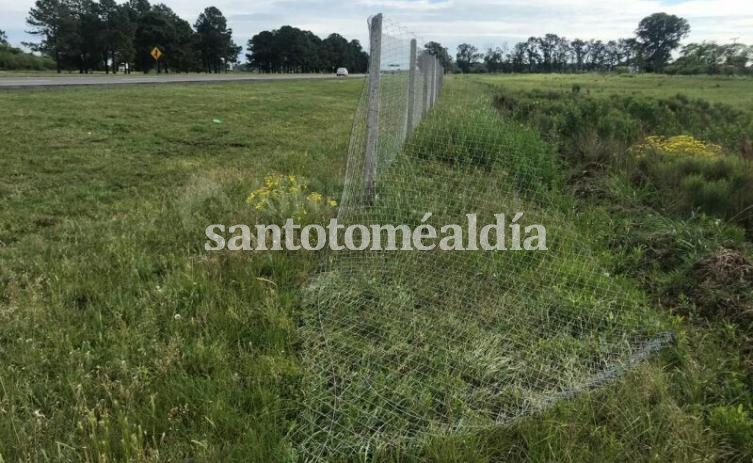 Provocan daños al alambrado de seguridad de la autopista 