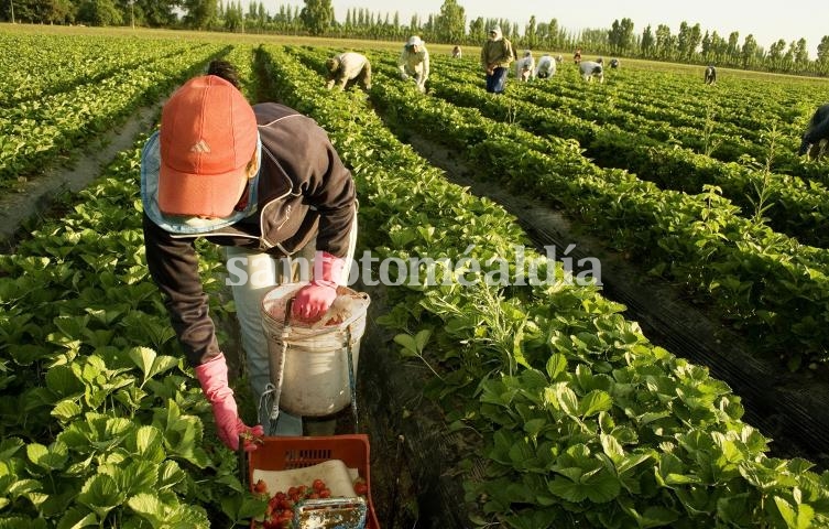 Continúa diciembre el Censo Nacional Agropecuario