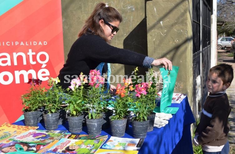 Actividades para fortalecer la conciencia ecológica y la economía social