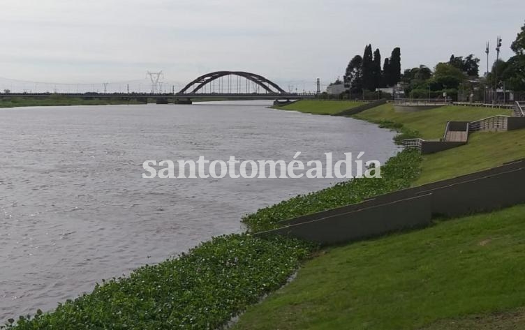 Esperan que el Salado alcance un nivel máximo de 5,30 metros