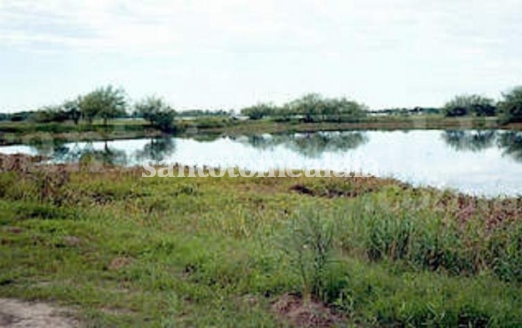 Buscan a una nena que cayó al río en la zona de Costa Azul