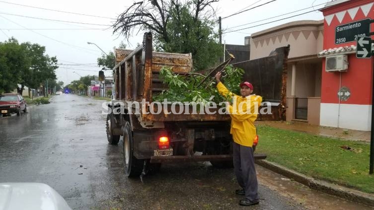 Las cuadrillas municipales trabajan en la recolección de troncos y ramas. (Foto: Municipalidad de Santo Tomé)