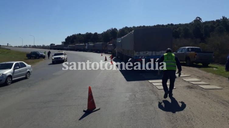 Los seis camiones detenidos al costado de la ruta, durante el operativo. (Foto: Gobierno de Santa Fe)