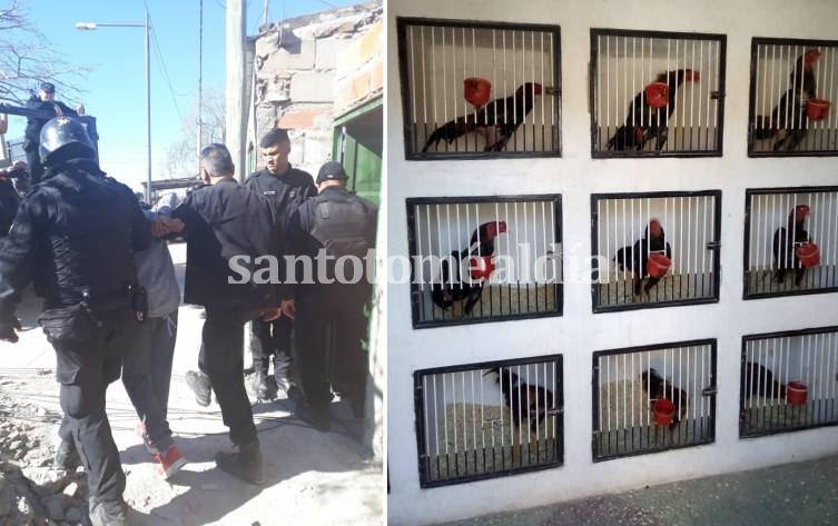 La policía allanó cinco casas en Santa Rosa de Lima, detuvo a dos personas y secuestró hasta gallos de riña. (Foto: Ministerio de Seguridad)