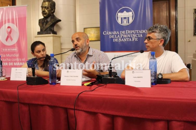 “Los pueblos forestales del norte de la provincia de Santa Fe” fueron el eje de una jornada de diálogo en diputados