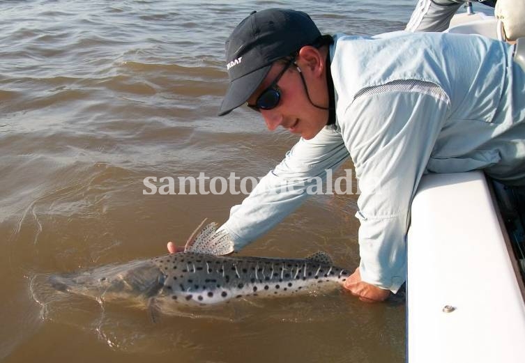 La provincia recuerda que desde el 1 de noviembre rige la veda pesquera del surubí