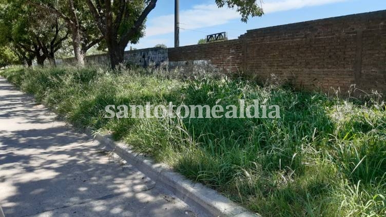 Uno de los pedidos del concejal es por el desmalezado de la zona. (Foto: Prensa Fernando Alí)