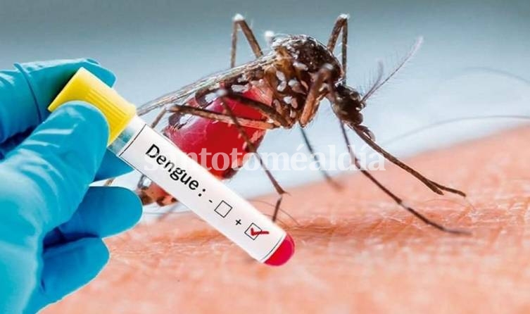 Se confirmaron 3 nuevos casos positivos de dengue en nuestra ciudad