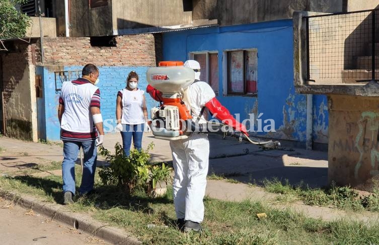 Dengue: hay 633 casos confirmados en la provincia