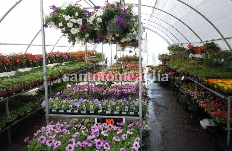 La provincia aclaró que los viveros están exceptuados durante la cuarenta