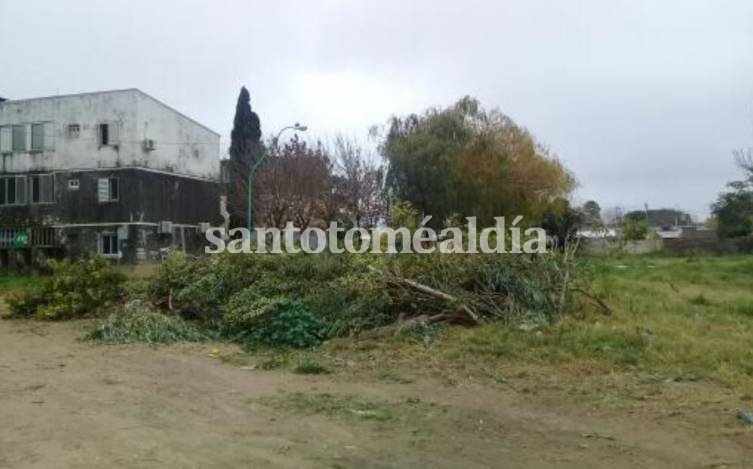 Denuncian a un vecino por arrojar basura en barrio General Paz