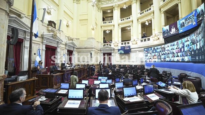 El Senado convirtió en ley el impuesto a la riqueza