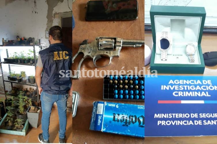 Detuvieron a uno de los autores de un cuantioso robo y secuestraron varias plantas de marihuana