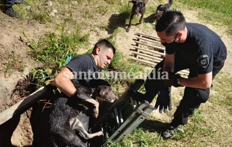 Sauce Viejo: Rescataron a un perro atrapado en un pozo