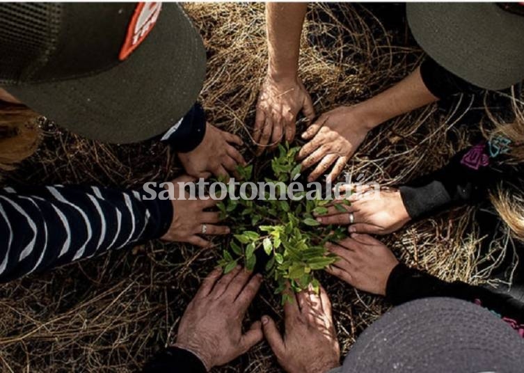 Día Mundial del Medio Ambiente: en Argentina no quedan ecosistemas completos