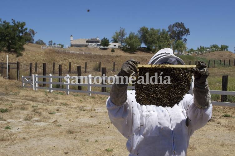 El Gobierno eliminó retenciones a las exportaciones agroindustriales de economías regionales