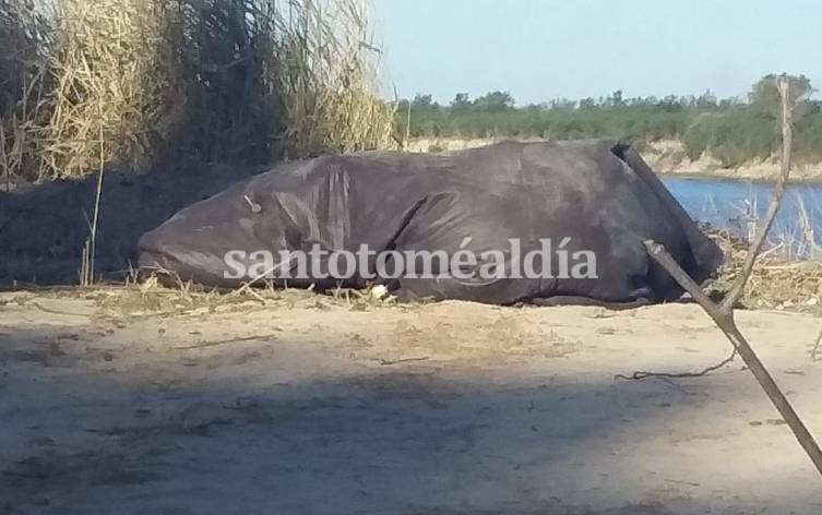 Sauce Viejo: Encontraron un cuerpo envuelto en el río Coronda