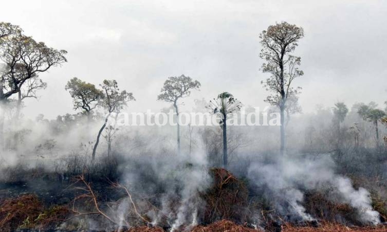Los incendios forestales vuelven a arrasar áreas protegidas en Bolivia