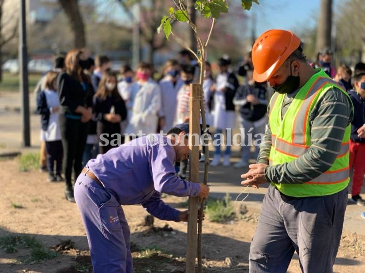 La Municipalidad conmemoró el Día del Árbol