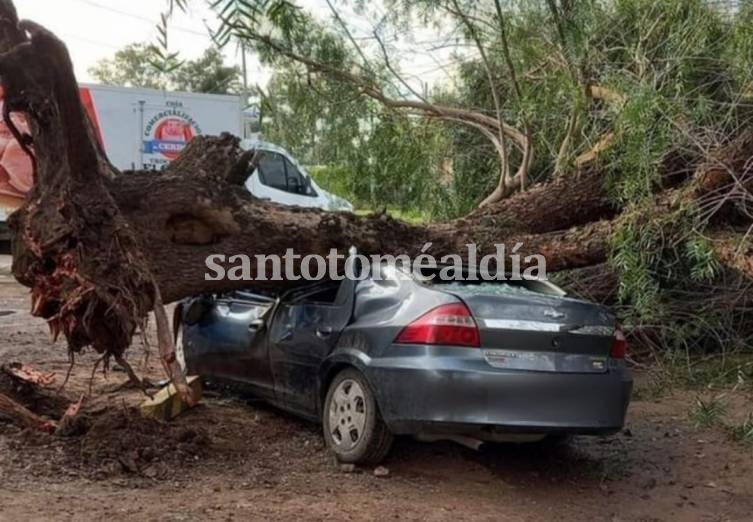 Un árbol cayó sobre un auto y el conductor estuvo atrapado más de dos horas