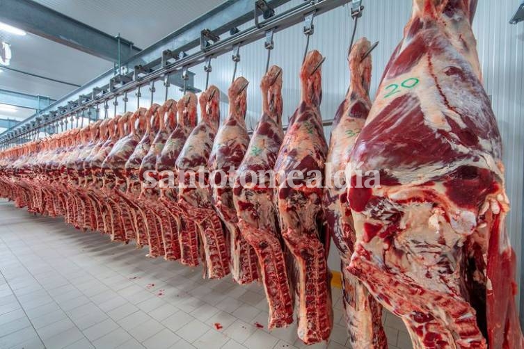 El Ministerio de Agricultura reabrió la exportación de carne a China