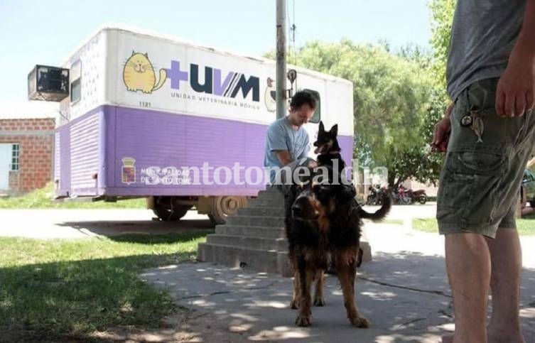 La campaña municipal de vacunación antirrábica continúa recorriendo los barrios