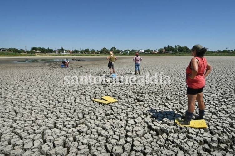 Ambientalistas y voluntarios rescataron tortugas de la laguna Juan de Garay