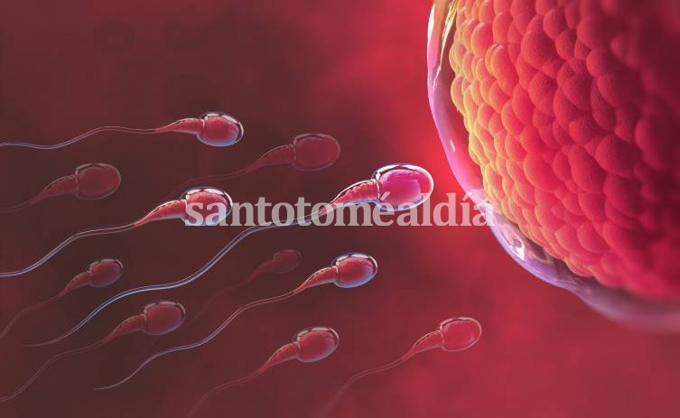 Investigan posibles secuelas del COVID-19 en la salud reproductiva humana