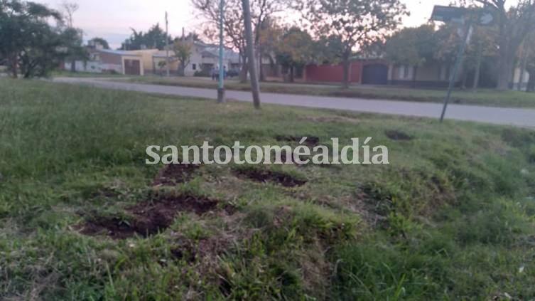 Detenidos por robar césped en el predio de una parroquia