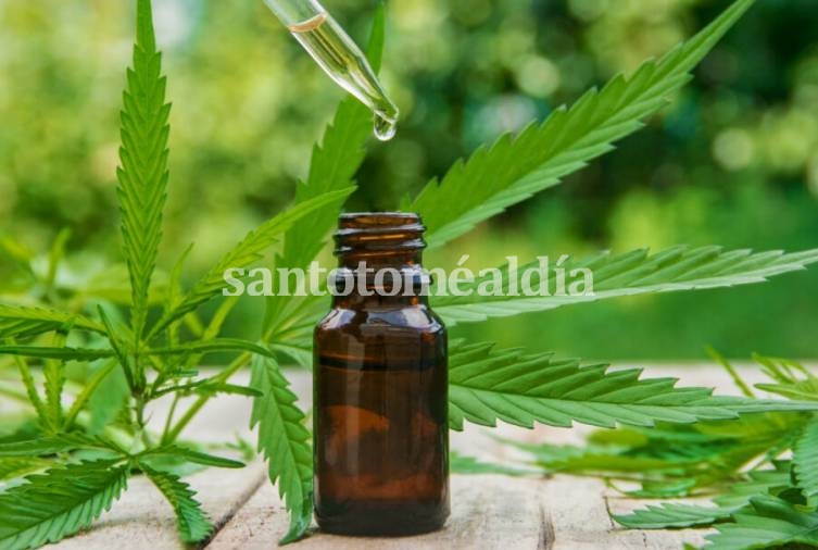 La Defensoría del Pueblo fijó posición favorable al uso medicinal del cannabis, ante la Corte Suprema Nacional