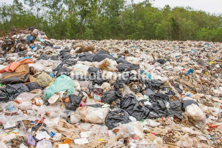 Barrio Los Hornos: hallaron un feto en una bolsa de basura