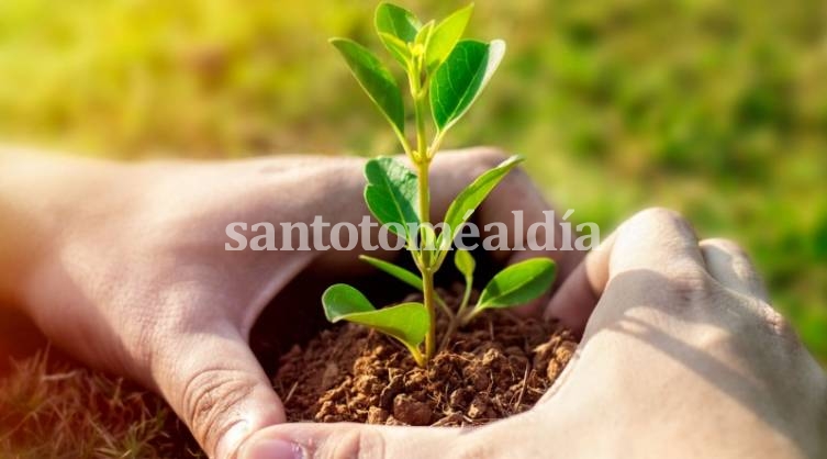 Santo Tomé vivirá la primera Feria de Emprendedores Verdes