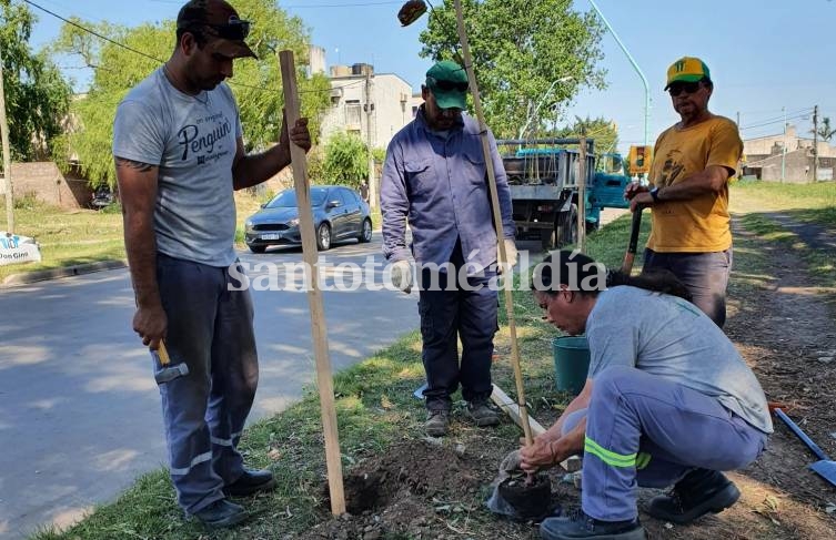 El Municipio planta más de 700 árboles con el Plan de Forestación 2022