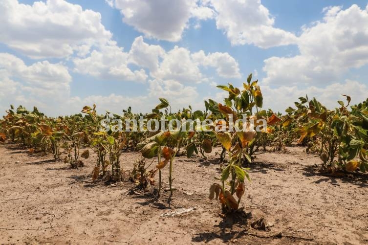 La provincia prorrogó la emergencia agropecuaria por sequía en todo el territorio y para todas las actividades agropecuarias