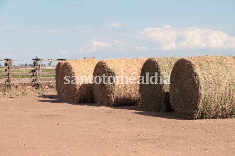 La provincia ofrece créditos con tasa bonificada por $5.000 mil millones al sector agropecuario