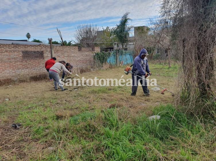 El Municipio continúa con los operativos de limpieza de terrenos baldíos