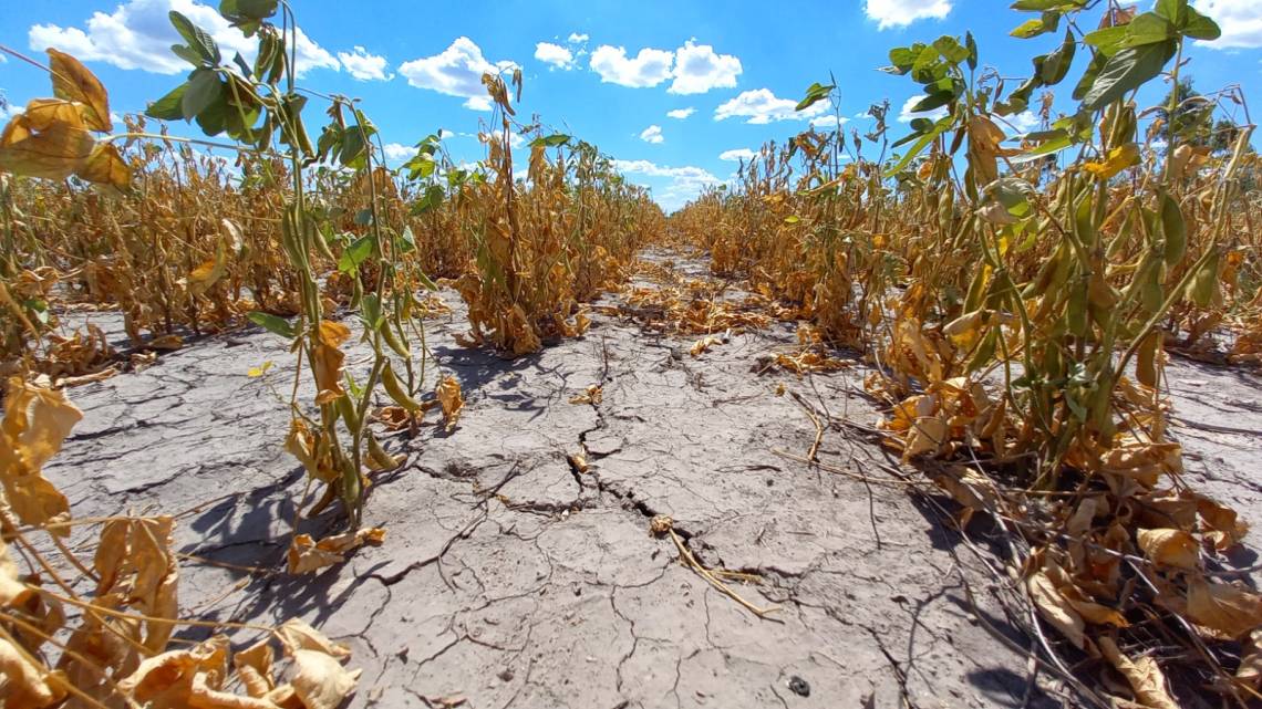 La provincia prorrogó la emergencia agropecuaria por sequía en todo el territorio santafesino