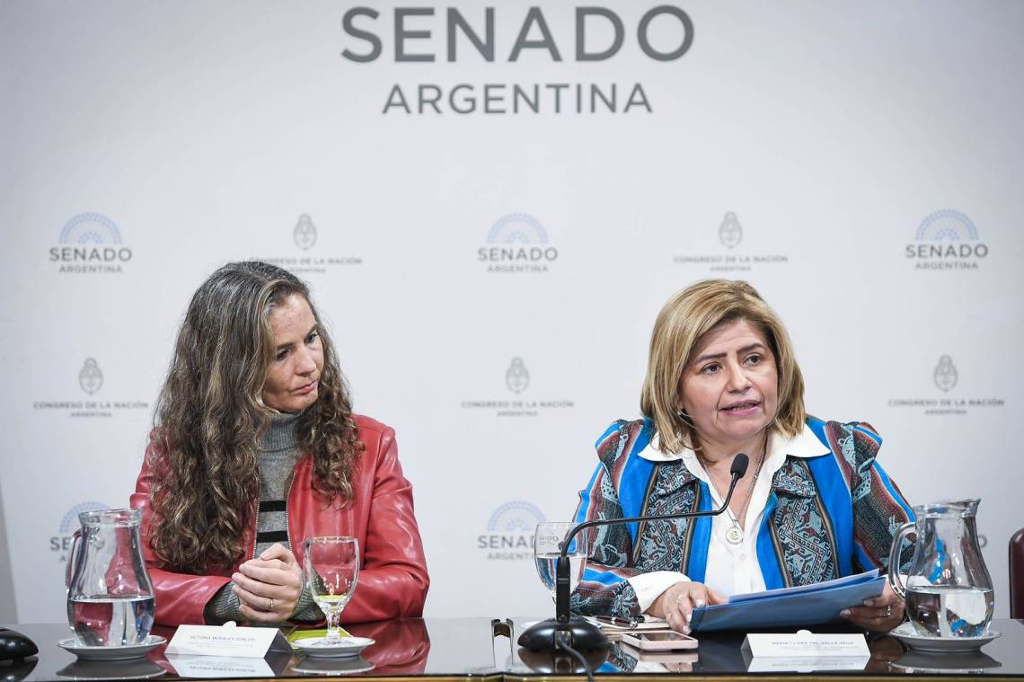 Presentaron un preocupante informe sobre explotación sexual infantil en la Argentina