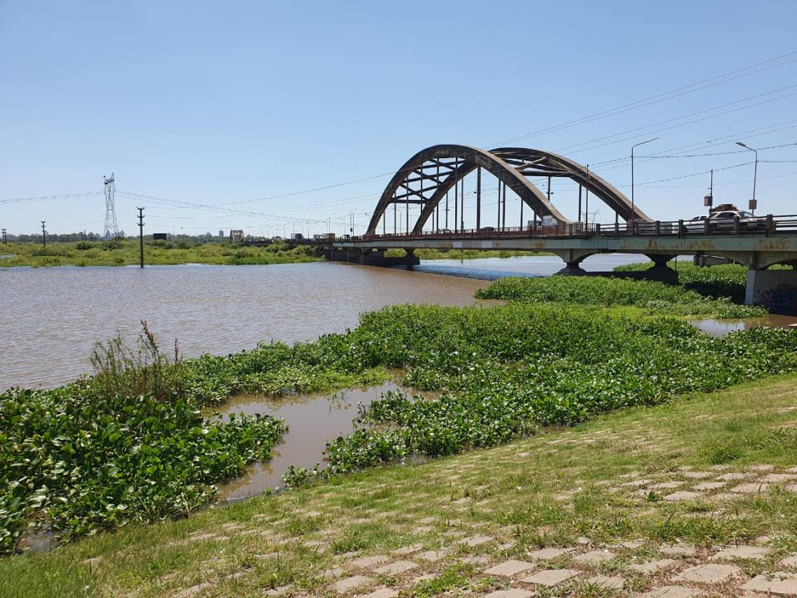 Tras varias semanas de crecimiento sostenido, el río Salado bajó 3 centímetros