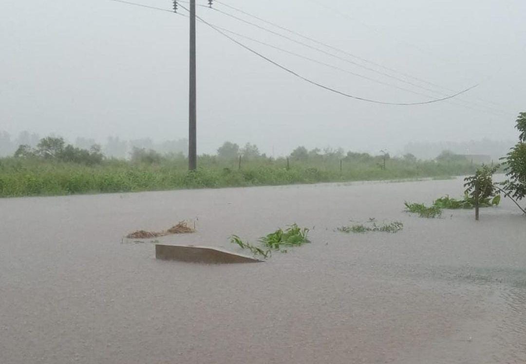 Anegamientos y familias evacuadas en Reconquista por las intensas lluvias