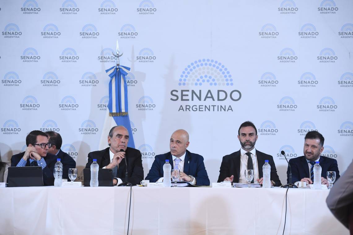 Finalizó primer debate de ley bases en el Senado: se dilata posibilidad de dictamen