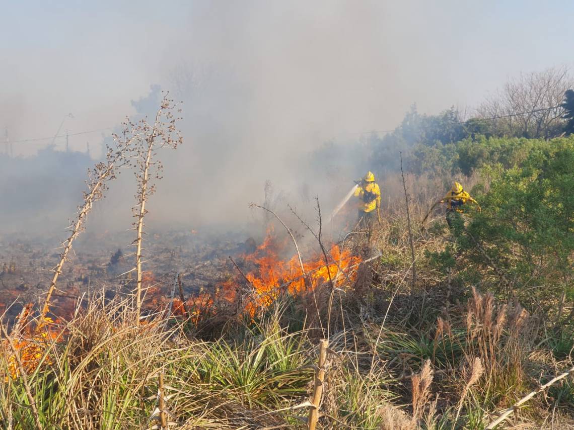 Los bomberos tuvieron un arduo trabajo para controlar el avance de las llamas. (Foto: STD)