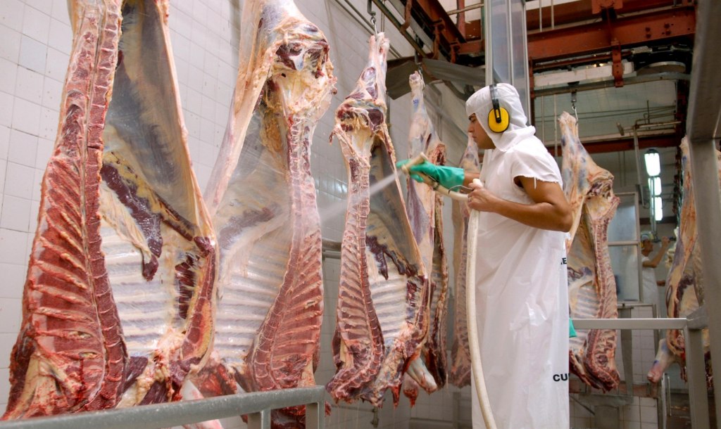 Mercados de carne vacuna: las exportaciones crecieron un 23% en agosto