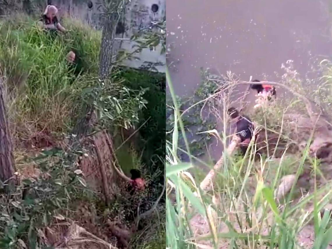 Sauce Viejo: Policías rescataron a una joven atrapada entre camalotes en el río Coronda